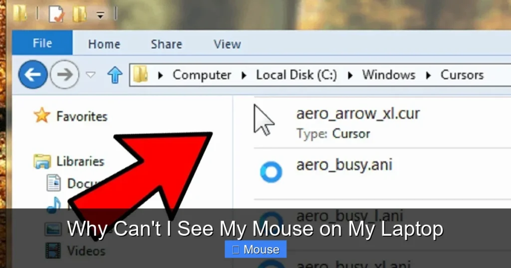 Why Can't I See My Mouse on My Laptop