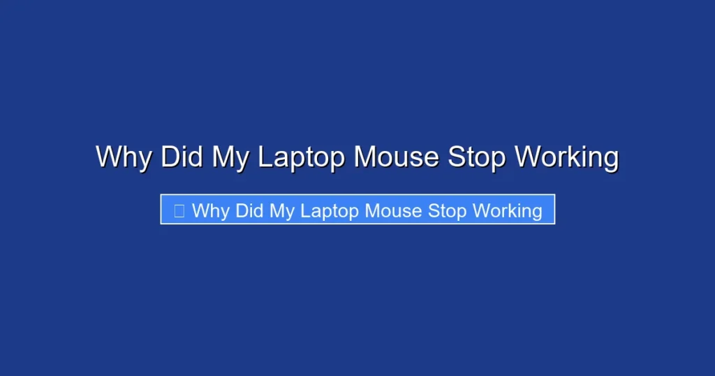 Why Did My Laptop Mouse Stop Working