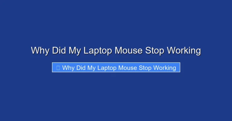 Why Did My Laptop Mouse Stop Working