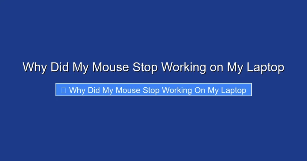 Why Did My Mouse Stop Working on My Laptop