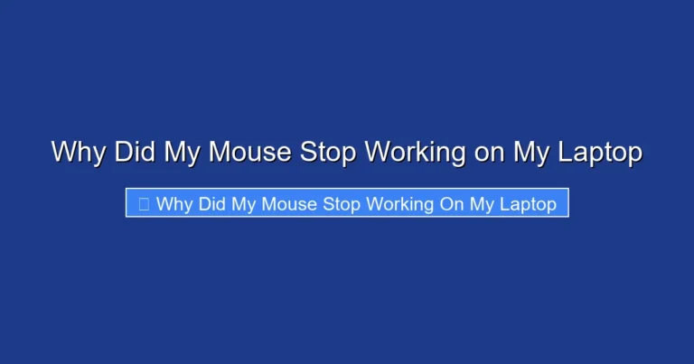 Why Did My Mouse Stop Working on My Laptop