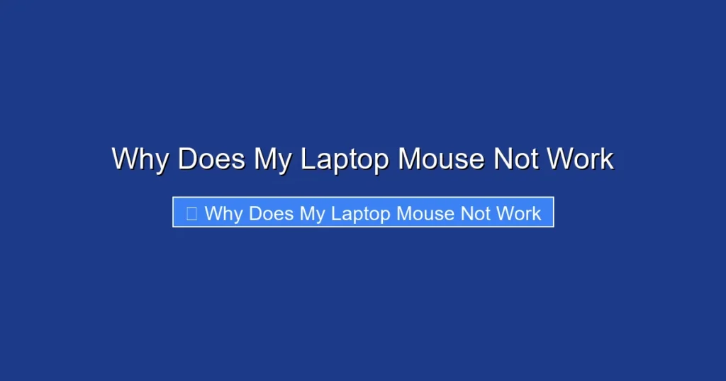 Why Does My Laptop Mouse Not Work