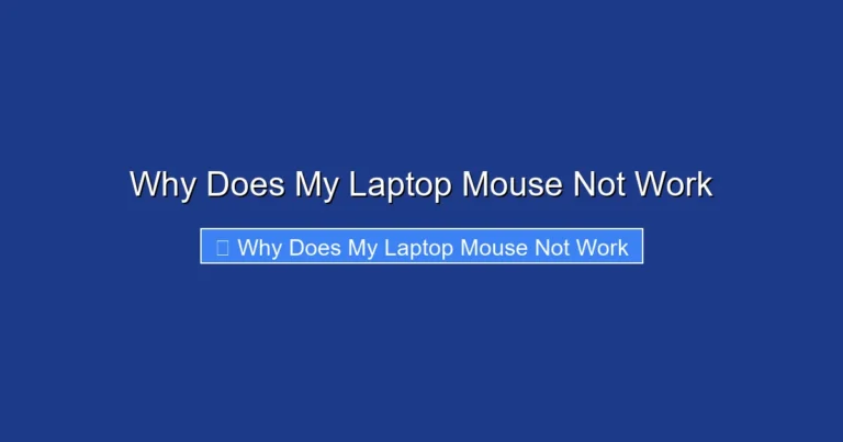 Why Does My Laptop Mouse Not Work