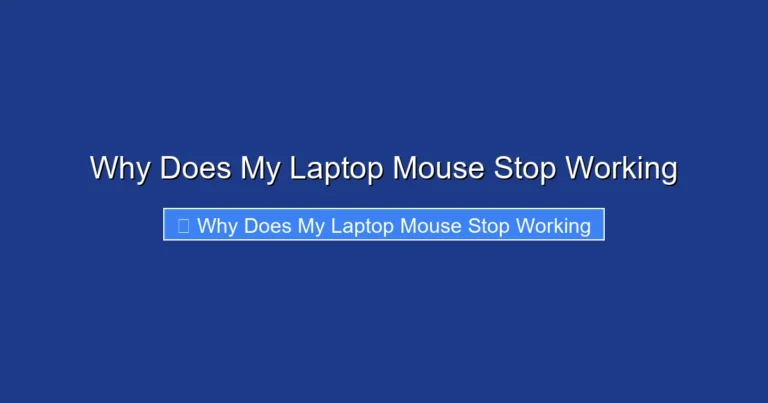 Why Does My Laptop Mouse Stop Working