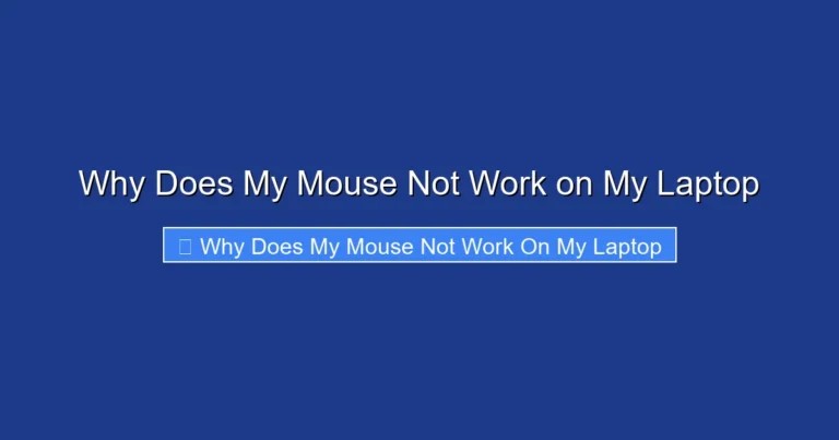 Why Does My Mouse Not Work on My Laptop