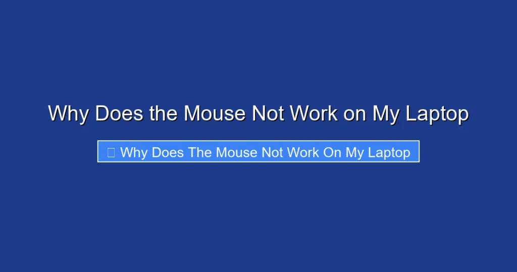 Why Does the Mouse Not Work on My Laptop