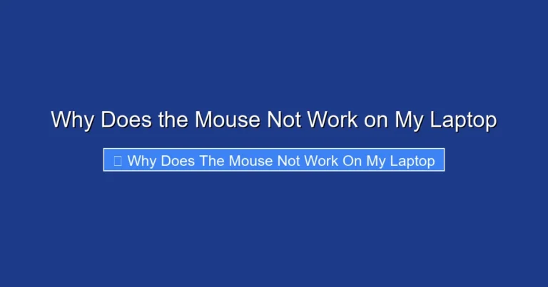 Why Does the Mouse Not Work on My Laptop