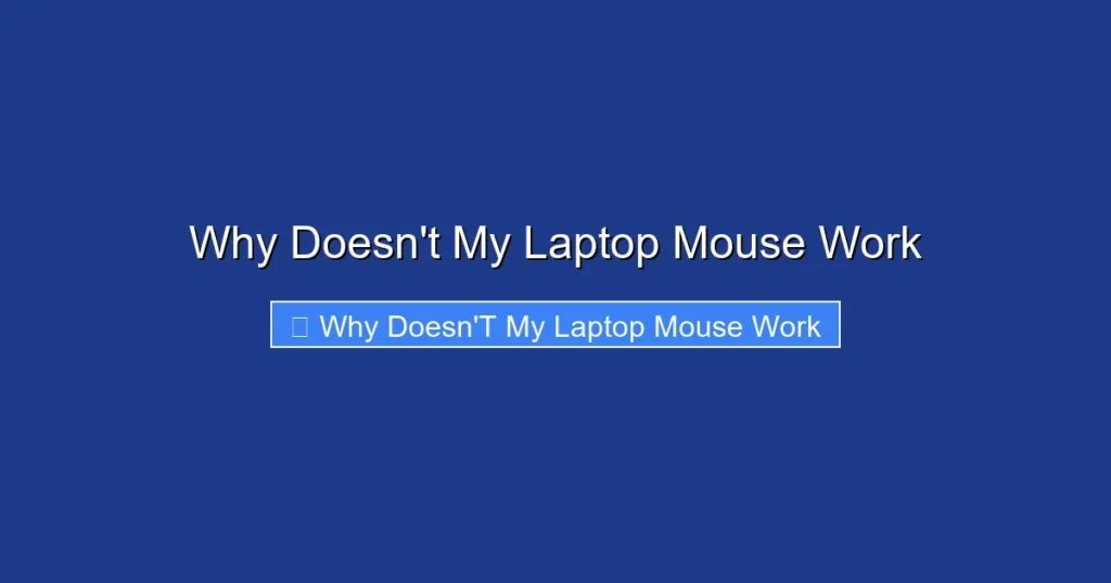 Why Doesn't My Laptop Mouse Work