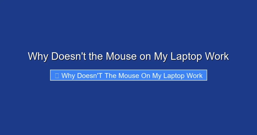 Why Doesn't the Mouse on My Laptop Work