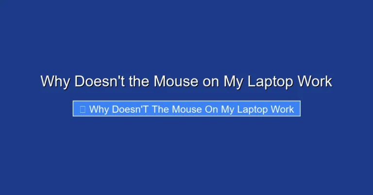 Why Doesn't the Mouse on My Laptop Work