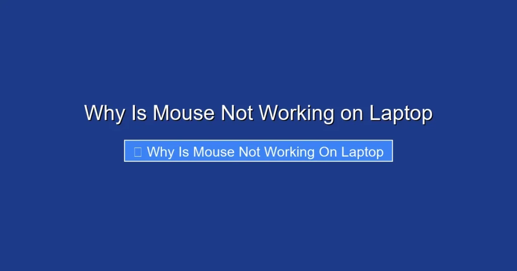 Why Is Mouse Not Working on Laptop