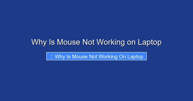 Why Is Mouse Not Working on Laptop