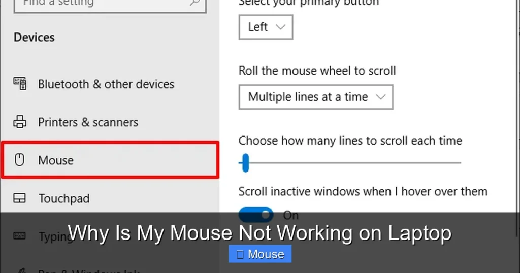 Why Is My Mouse Not Working on Laptop