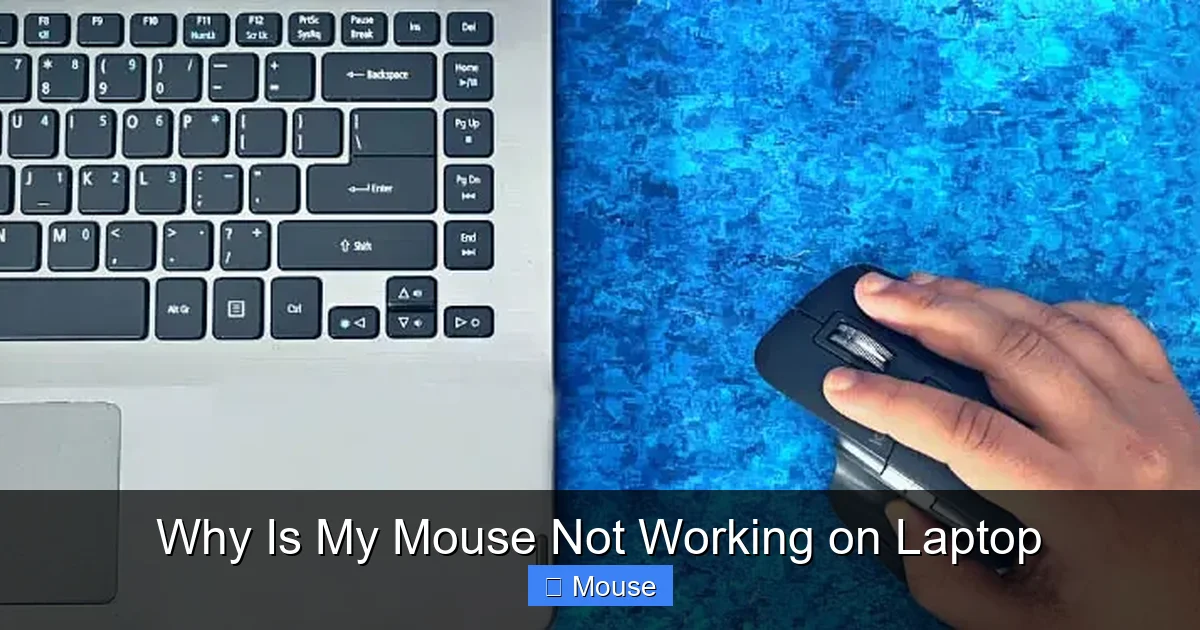 Why Is My Mouse Not Working on Laptop