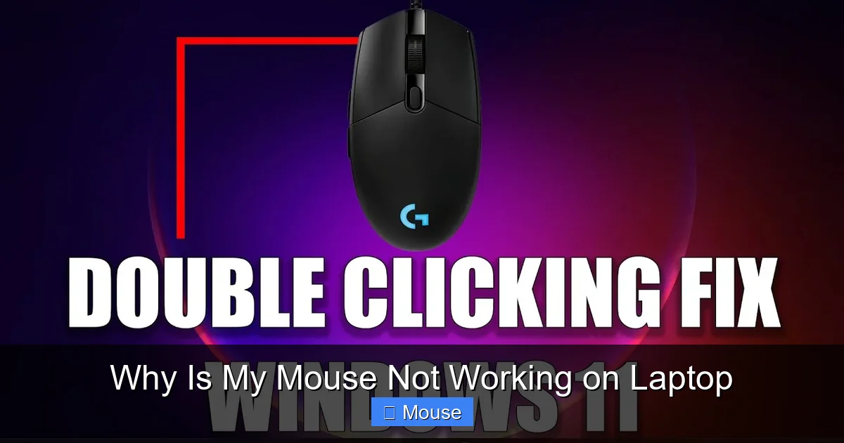 Why Is My Mouse Not Working on Laptop