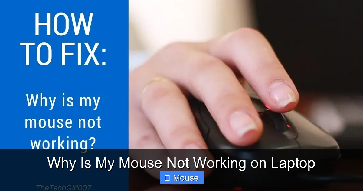 Why Is My Mouse Not Working on Laptop