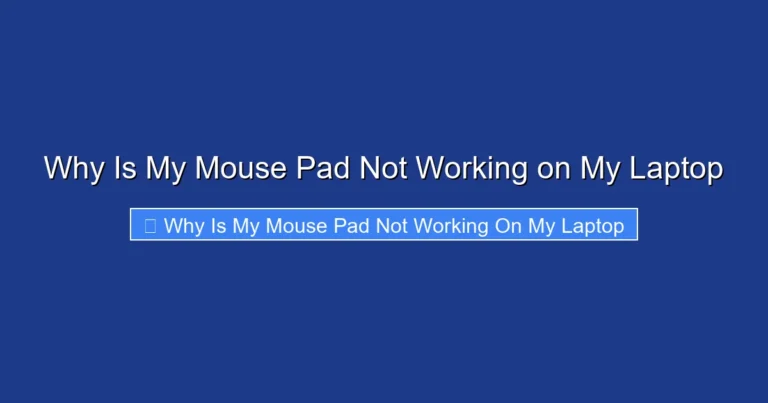 Why Is My Mouse Pad Not Working on My Laptop