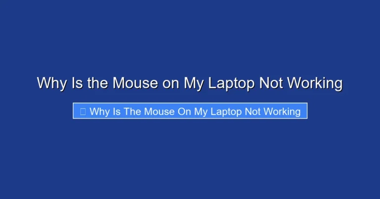 Why Is the Mouse on My Laptop Not Working