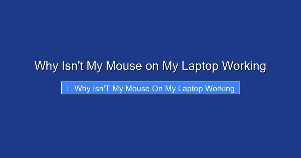 Why Isn't My Mouse on My Laptop Working