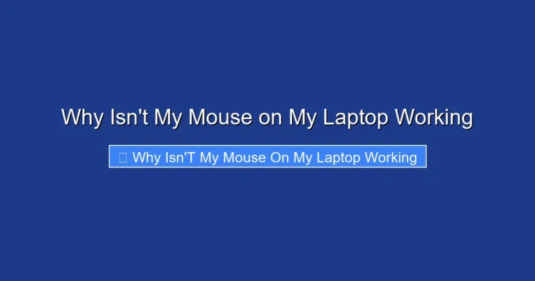 Why Isn't My Mouse on My Laptop Working