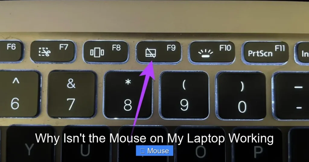 Why Isn't the Mouse on My Laptop Working
