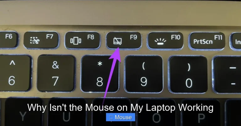 Why Isn't the Mouse on My Laptop Working