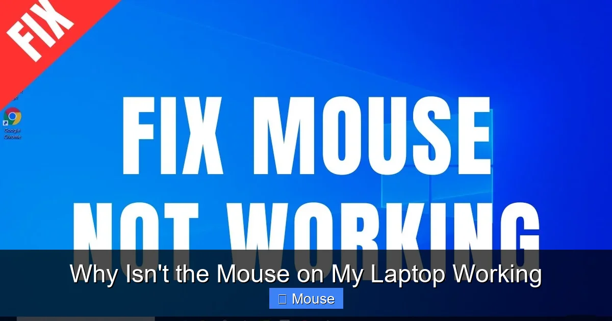 Why Isn't the Mouse on My Laptop Working