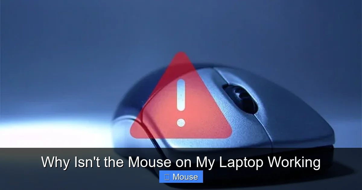 Why Isn't the Mouse on My Laptop Working