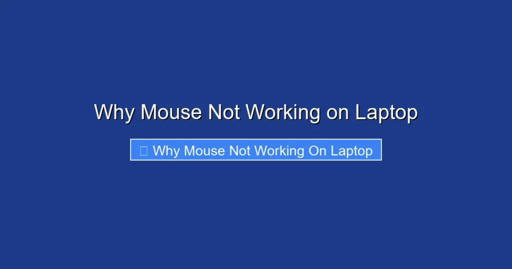 Why Mouse Not Working on Laptop