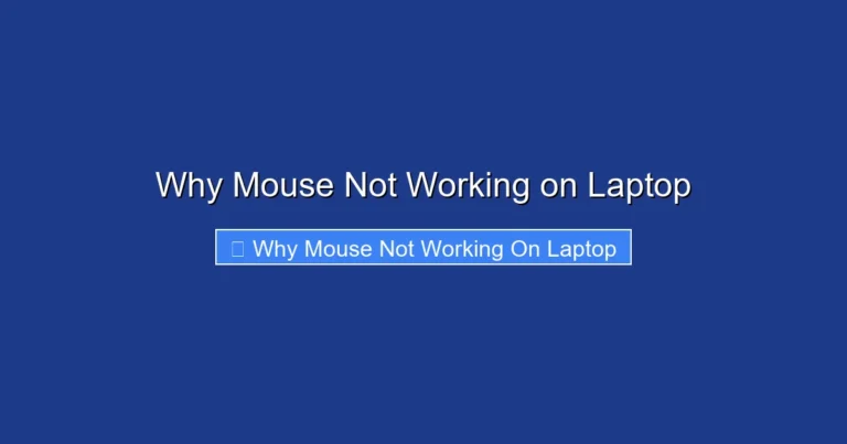 Why Mouse Not Working on Laptop