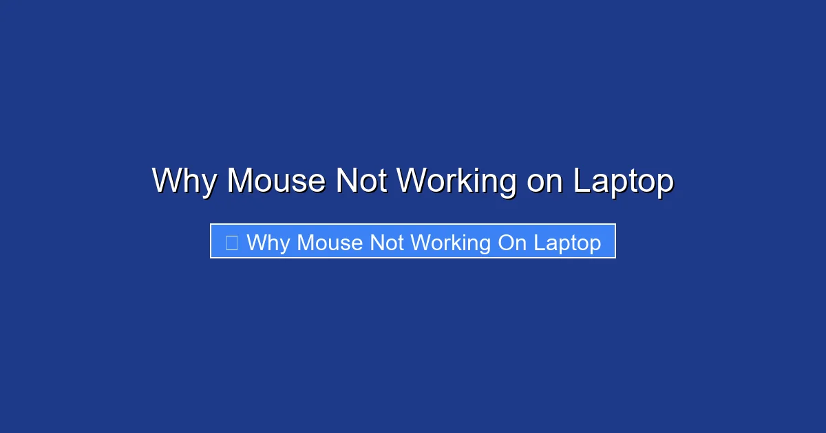 Why Mouse Not Working on Laptop