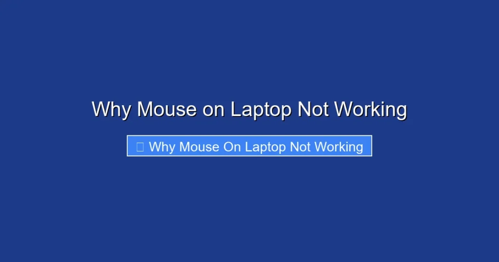 Why Mouse on Laptop Not Working