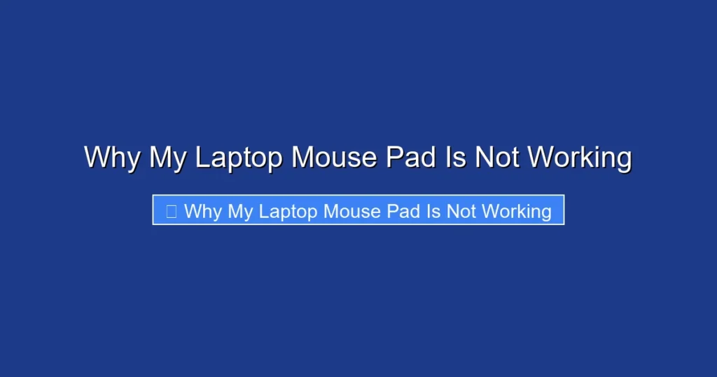 Why My Laptop Mouse Pad Is Not Working