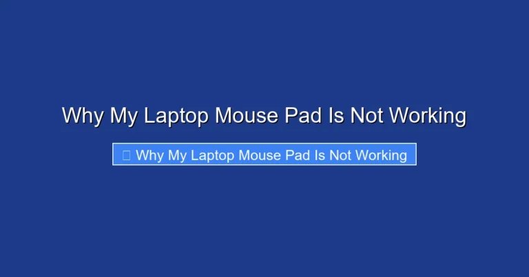 Why My Laptop Mouse Pad Is Not Working
