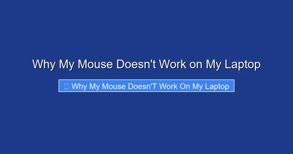 Why My Mouse Doesn't Work on My Laptop