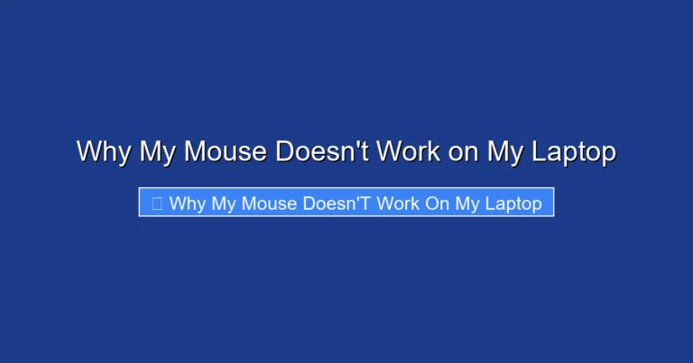 Why My Mouse Doesn't Work on My Laptop