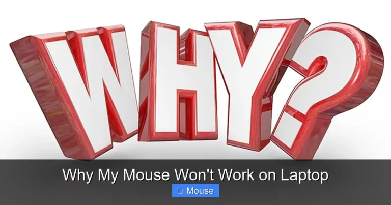 Why My Mouse Won't Work on Laptop