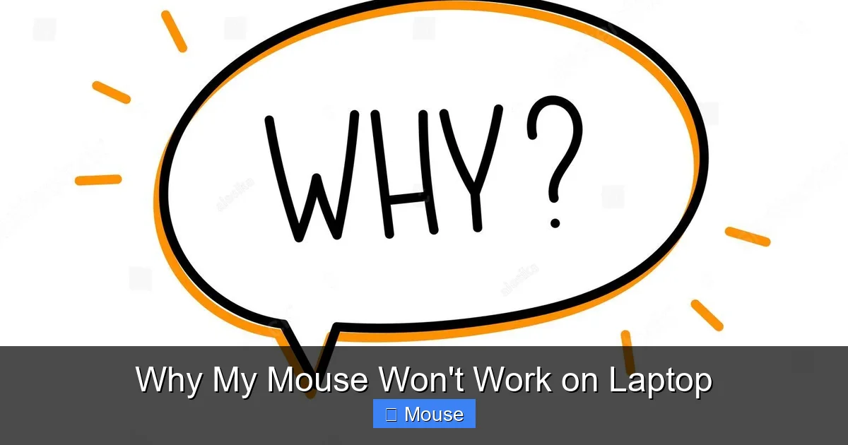 Why My Mouse Won't Work on Laptop