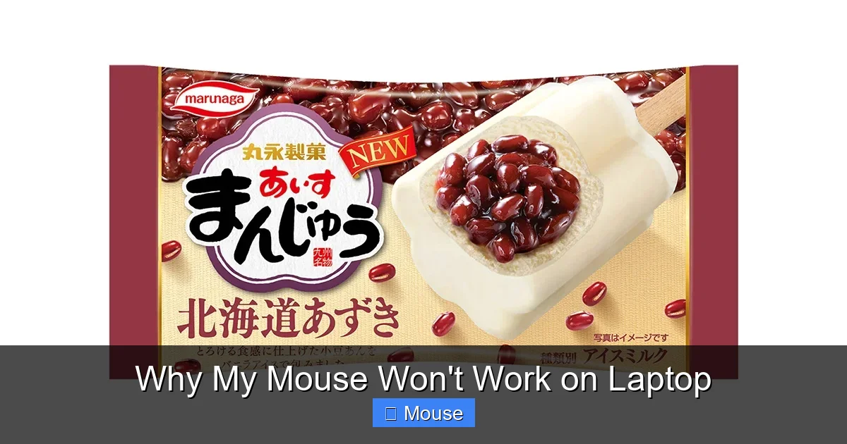 Why My Mouse Won't Work on Laptop