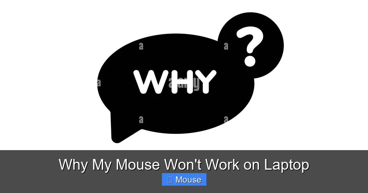 Why My Mouse Won't Work on Laptop