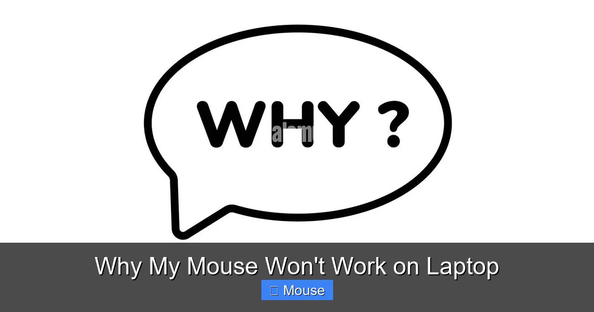 Why My Mouse Won't Work on Laptop