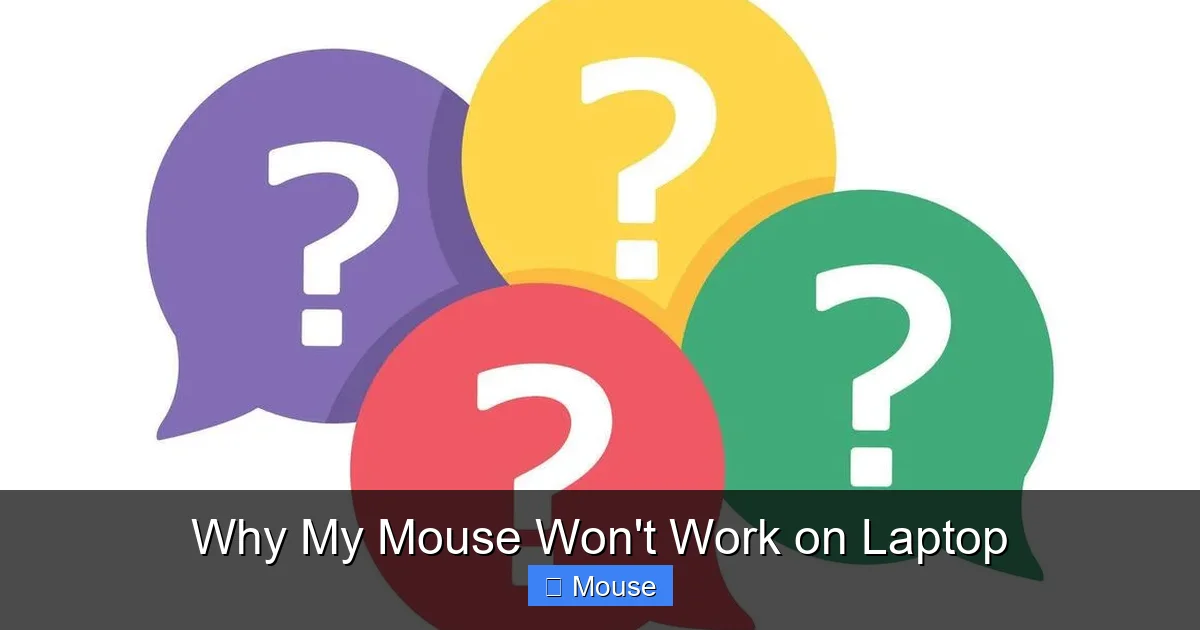 Why My Mouse Won't Work on Laptop