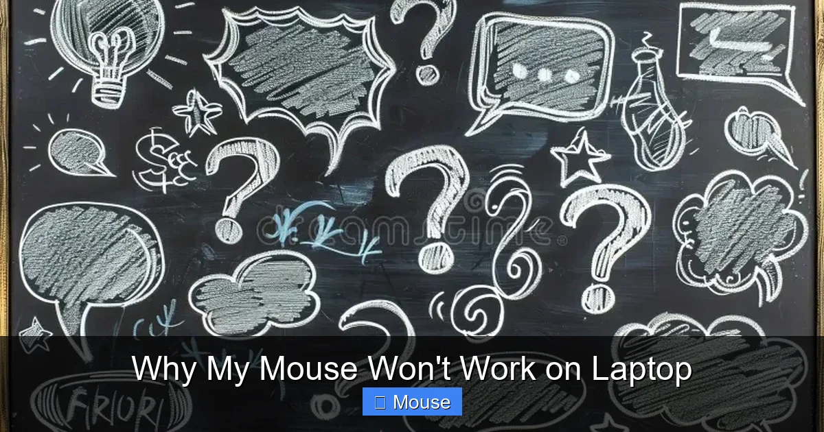Why My Mouse Won't Work on Laptop