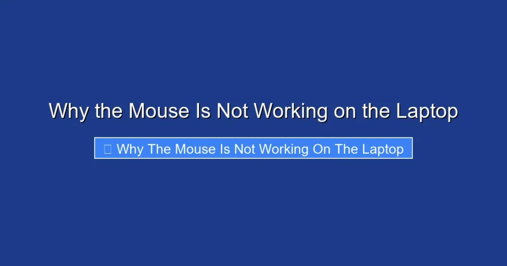 Why the Mouse Is Not Working on the Laptop