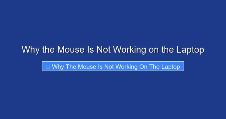 Why the Mouse Is Not Working on the Laptop