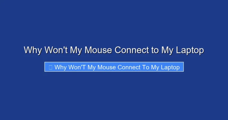 Why Won't My Mouse Connect to My Laptop