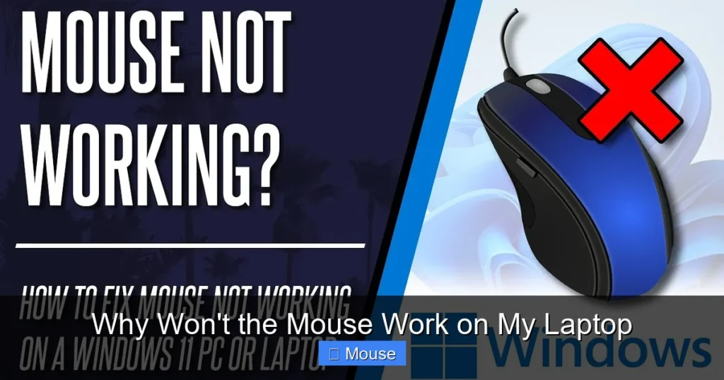 Why Won't the Mouse Work on My Laptop