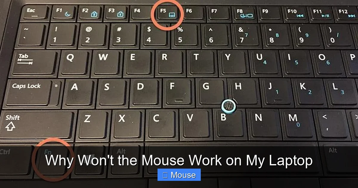 Why Won't the Mouse Work on My Laptop