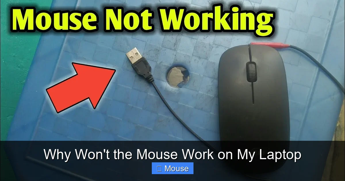 Why Won't the Mouse Work on My Laptop