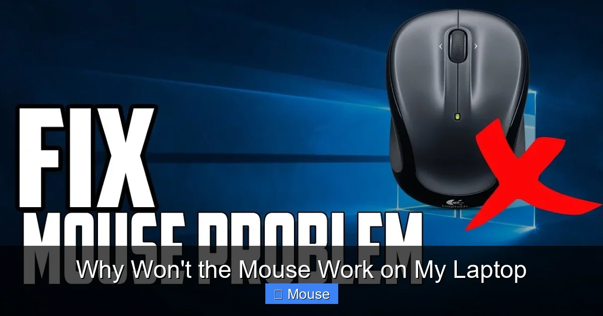 Why Won't the Mouse Work on My Laptop